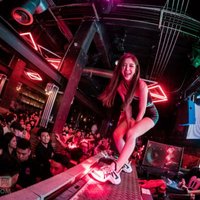 明星dj果凍車(chē)載音樂(lè)